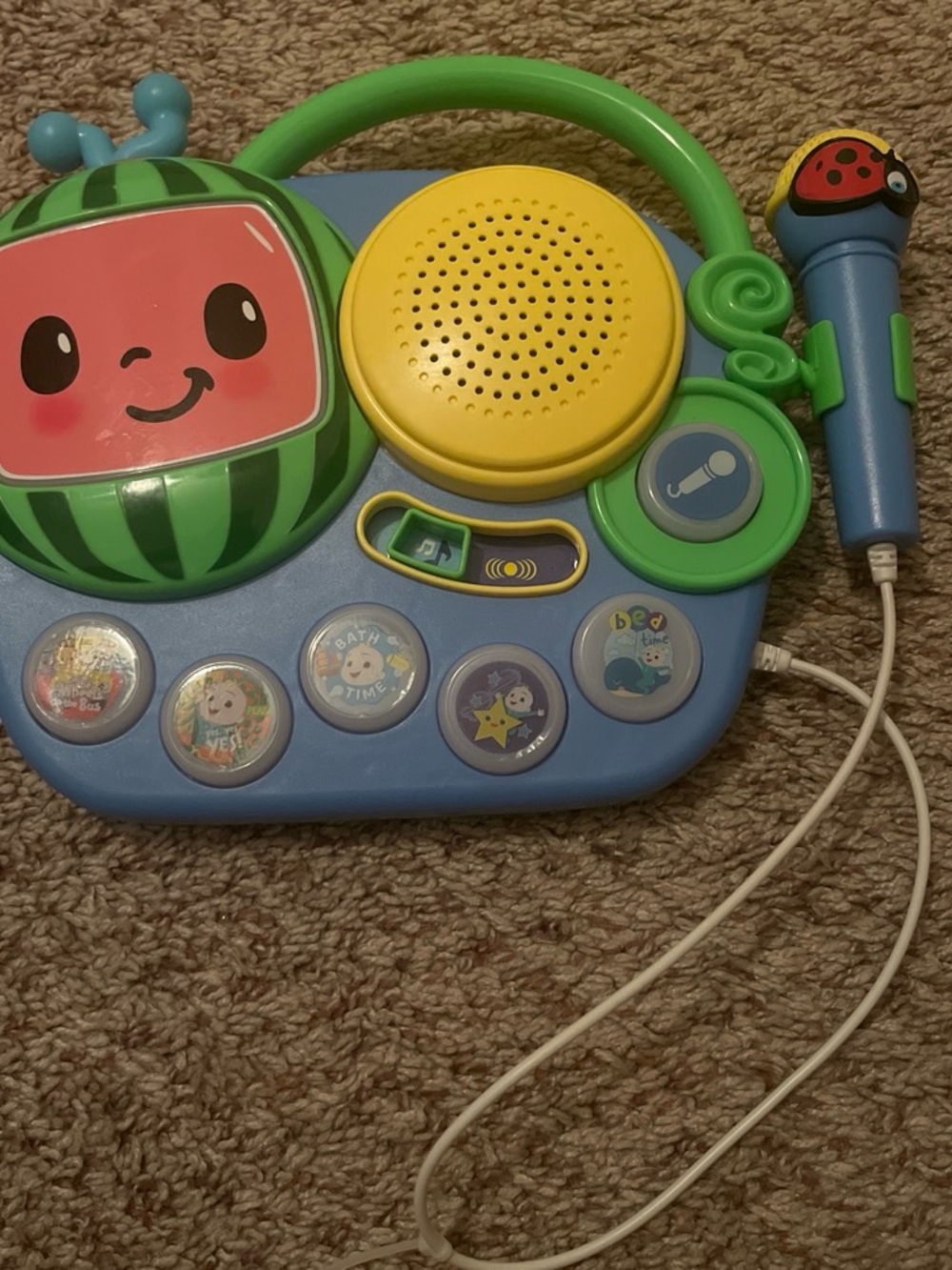 Interactive Kids Singing Toy with Handheld Microphone - Blue & Green